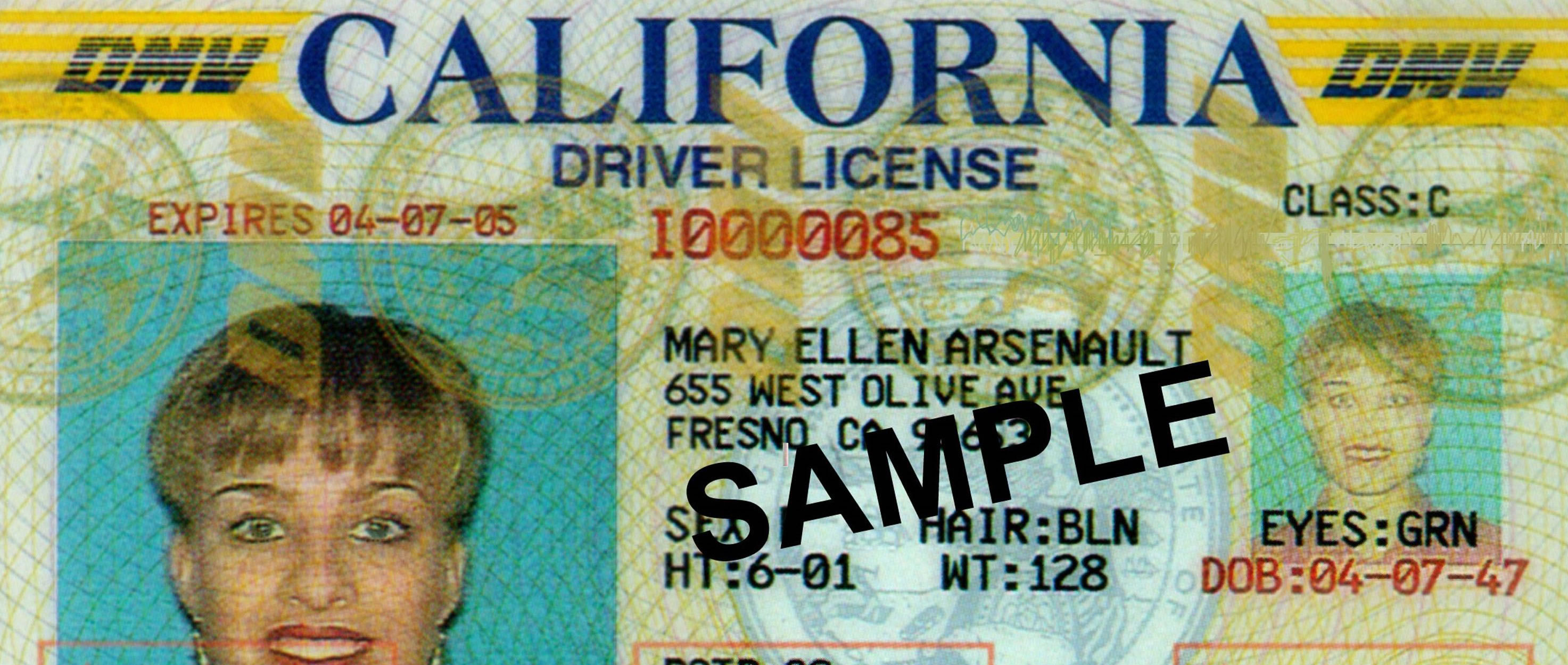 california drivers license check